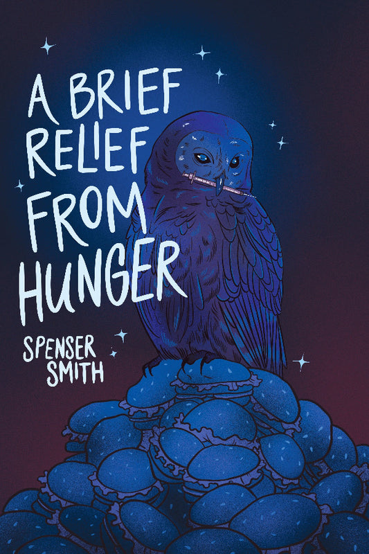 Book cover of 'A Brief Relief from Hunger' with a blue owl on a pile of blue stones against a dark background.